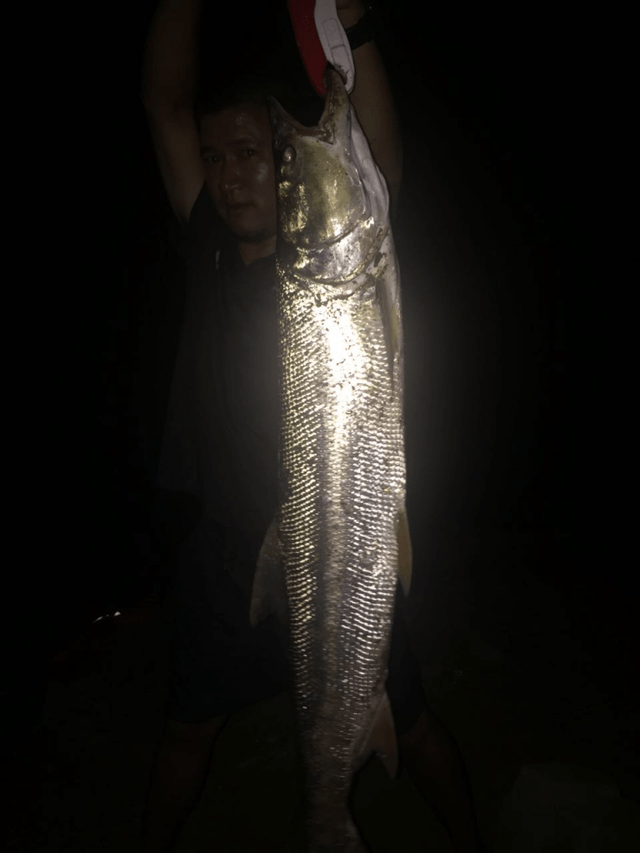 魚竿推薦_魚竿推薦購買排行_新手魚竿推薦