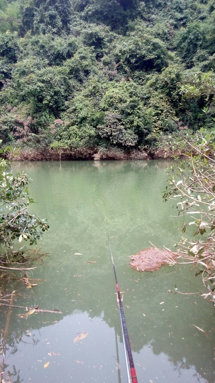水庫釣魚_景洪市免費釣魚水庫_附近免費釣魚水庫