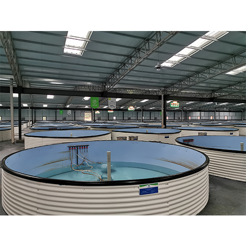 淡水石斑魚_淡水魚石斑魚相似的魚_淡水魚石斑魚養殖