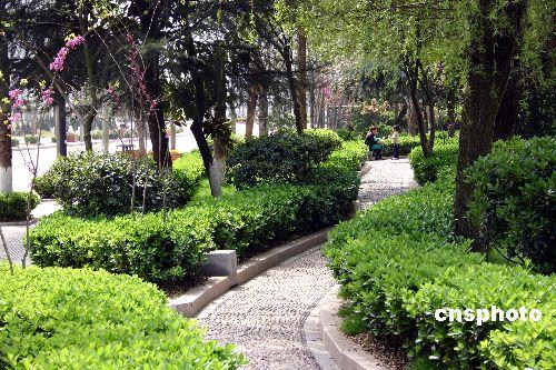 子龍大橋 新客站附近城市主題公園今年啟動一期工程重點抓好