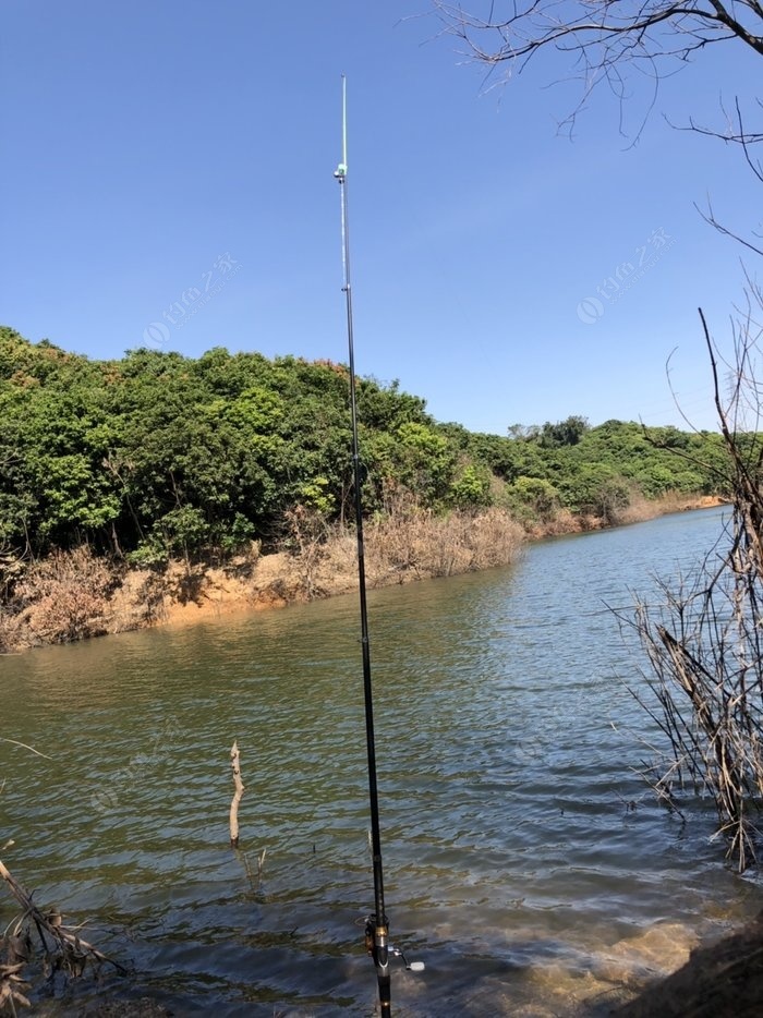 深圳釣魚_釣魚深圳野釣的地方_深圳釣魚吧百度貼吧