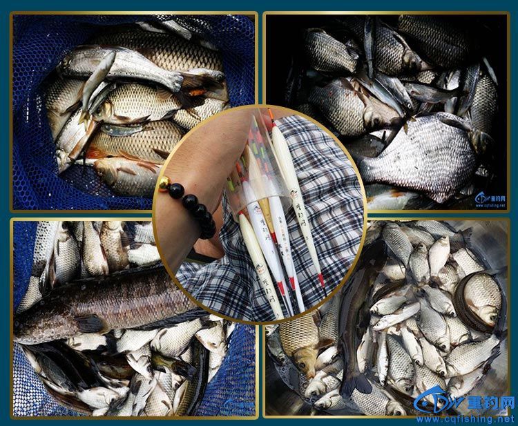 浮游磯釣法_浮游磯釣教學視頻_浮游磯釣