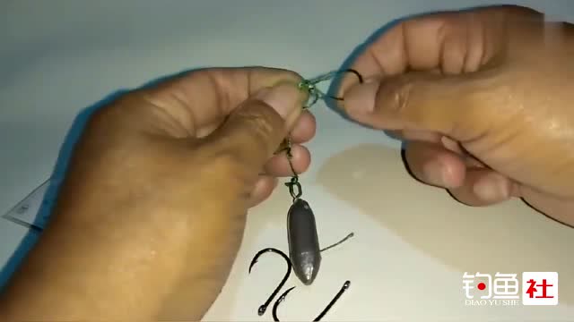 埃及塘鲺_埃及塘鲺多少錢一斤_埃及塘鲺和鯰魚有什么區別