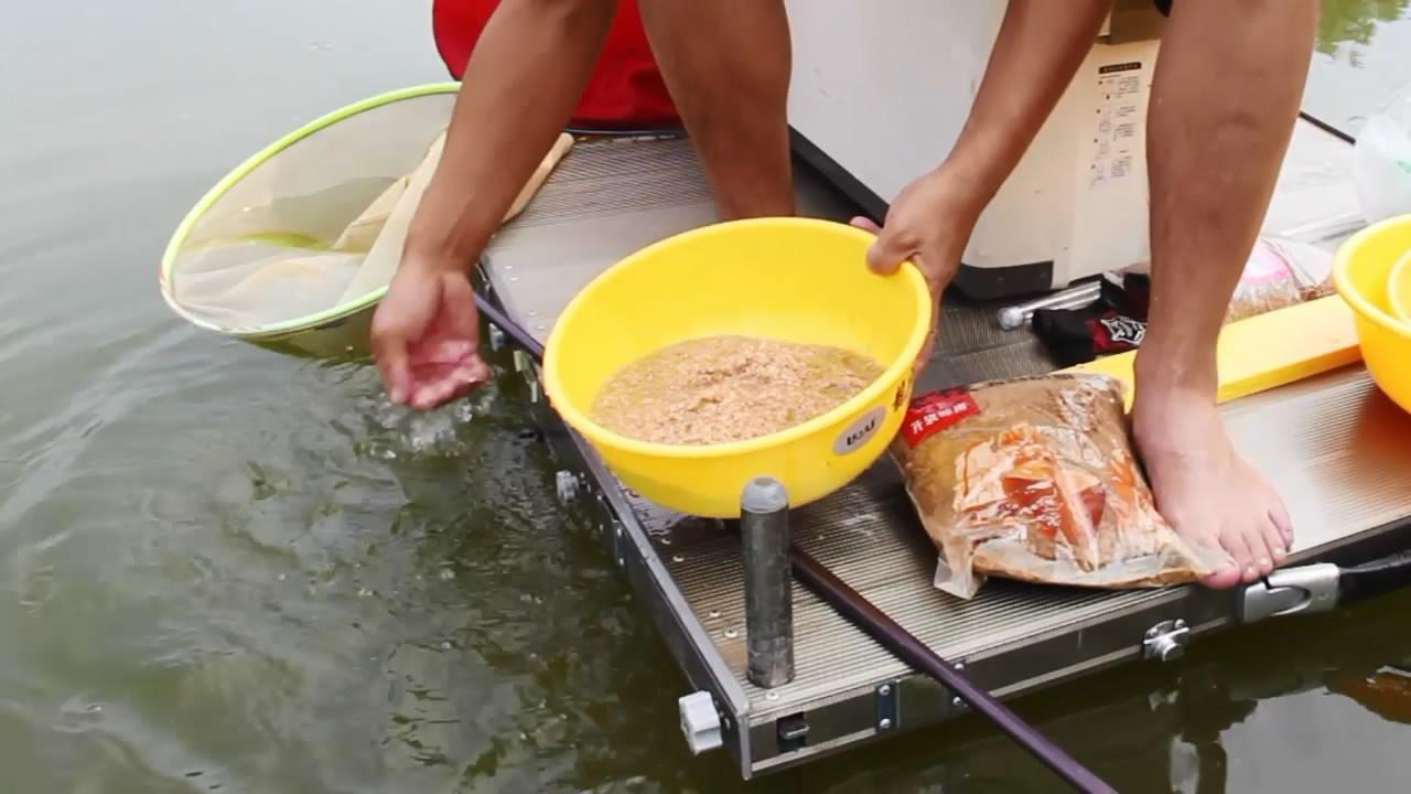釣鯉魚餌料十大排名_釣鯉魚餌料排行榜_釣鯉魚餌料