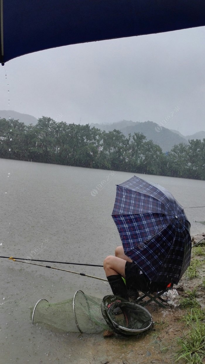 雨前釣魚_釣魚雨前好還是雨后好_釣魚雨前還是雨后好