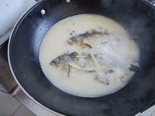 鯽魚讀音_鯽魚_鯽魚湯怎么燉