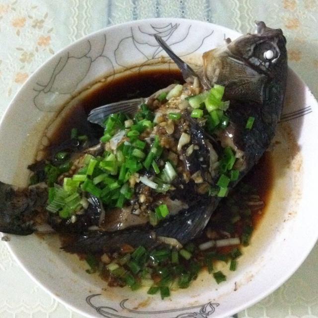 鯽魚湯怎么燉_鯽魚讀音_鯽魚