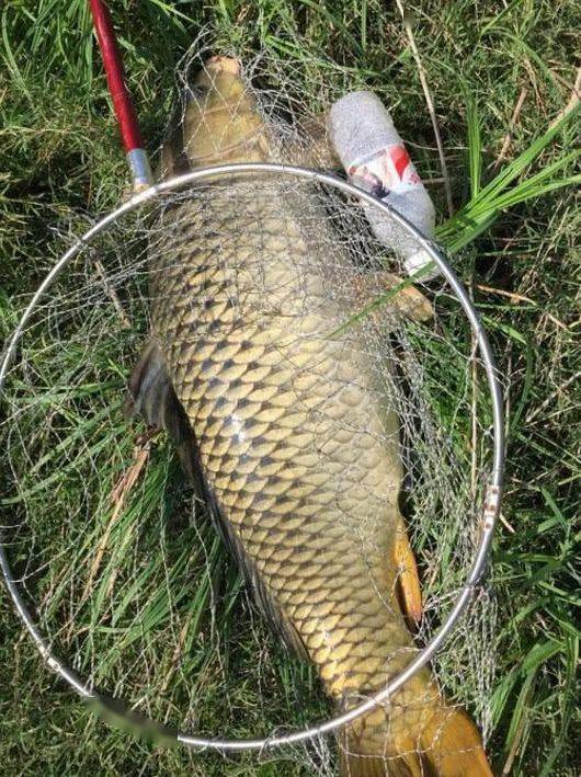 釣魚就是跟魚玩，我是玩它，它是玩命