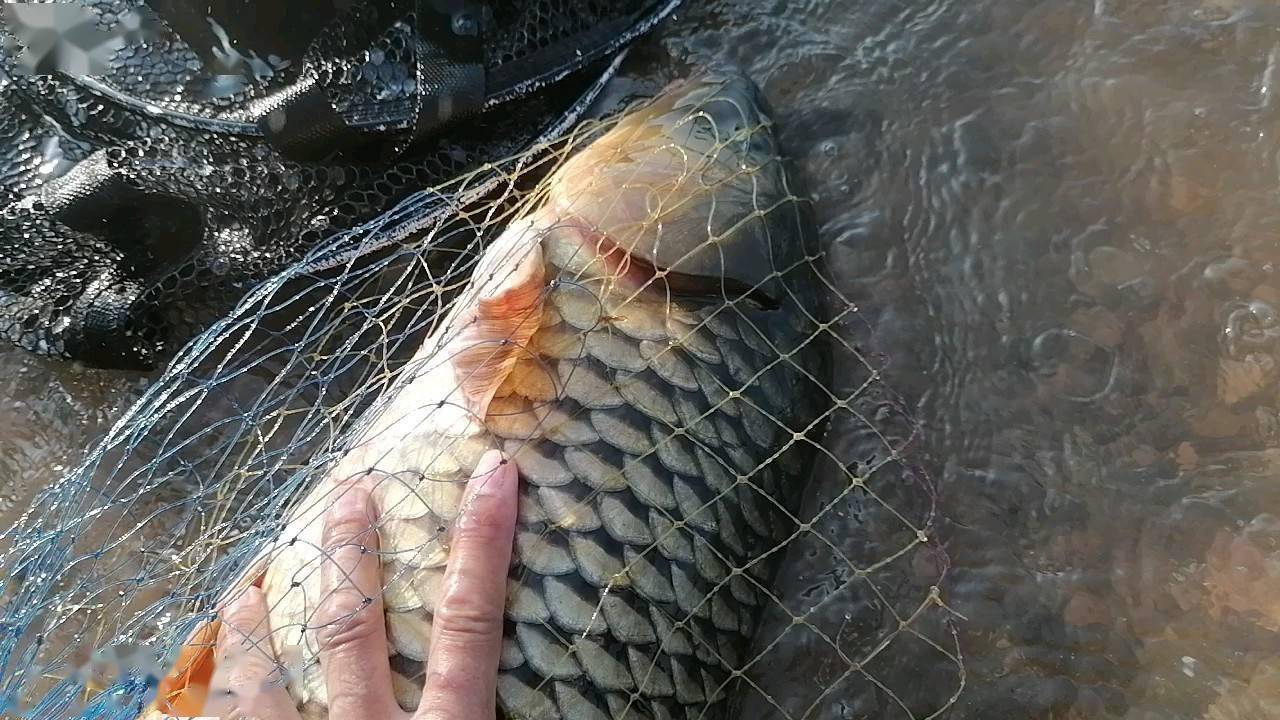 釣魚事件是什么意思_釣魚事件_釣魚事件最新消息