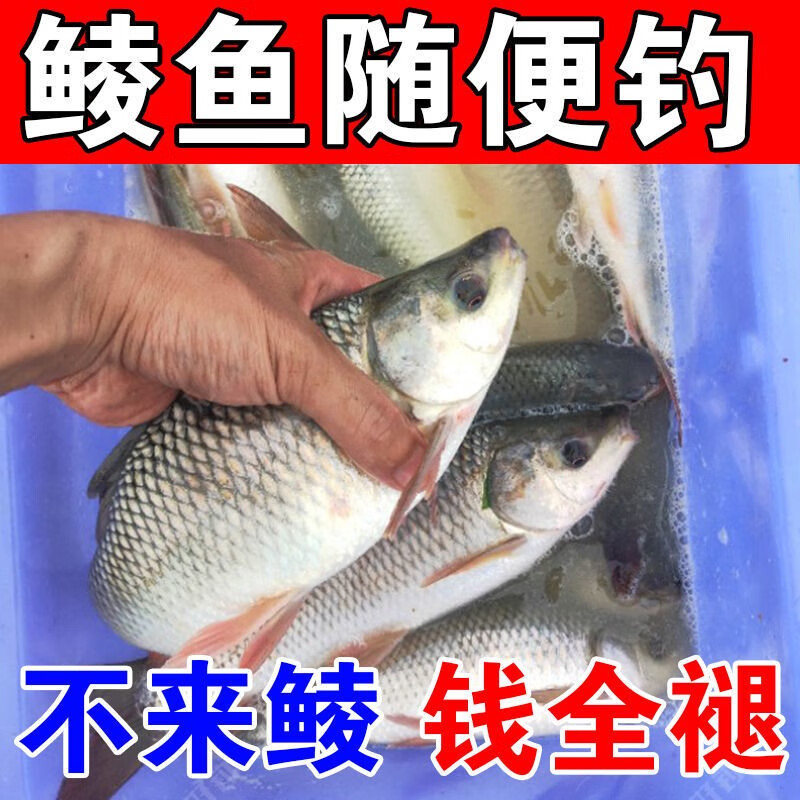 原塘顆粒成分_原塘顆粒多少錢一斤_原塘顆粒