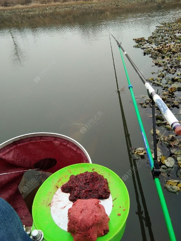 冬天釣魚技巧_冬天釣魚技術_冬天釣魚法則