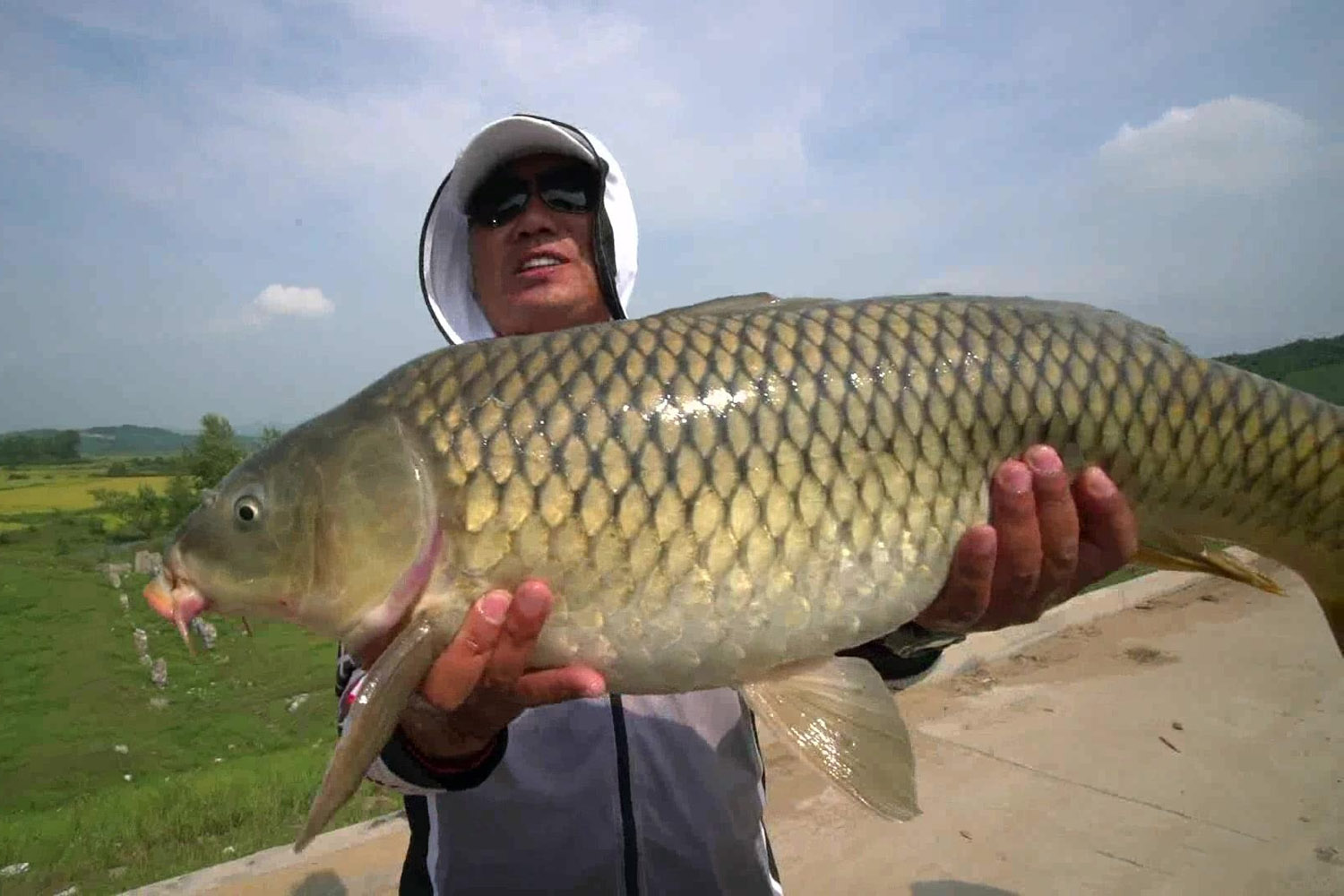 釣鯉魚子線多長為最佳_釣鯉魚多大線組合適_釣鯉魚多長最佳線子為好