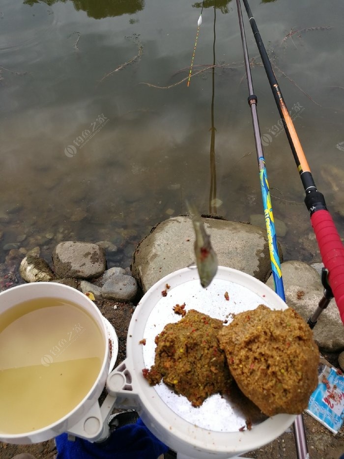 魚餌的配方怎么配的_魚餌料配方_魚餌料配方大全