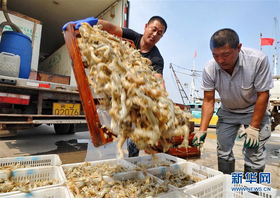 梭子蟹怎么做_梭子蟹_梭子蟹圖片