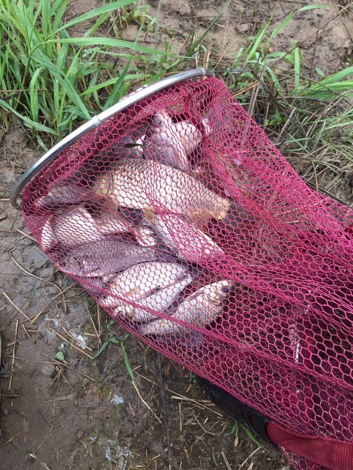 釣魚下雨天釣深釣淺_釣魚下雨天好釣還是晴天好釣_下雨天釣魚