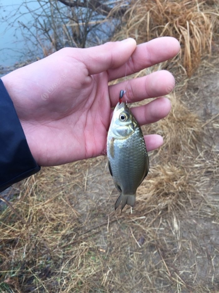 釣魚下雨天好釣還是晴天好釣_釣魚下雨天釣深釣淺_下雨天釣魚