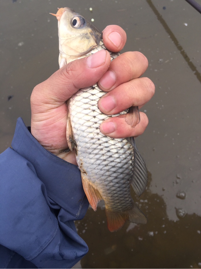 臺釣線組_臺釣組線連接方法_臺釣線組的正確搭配視頻