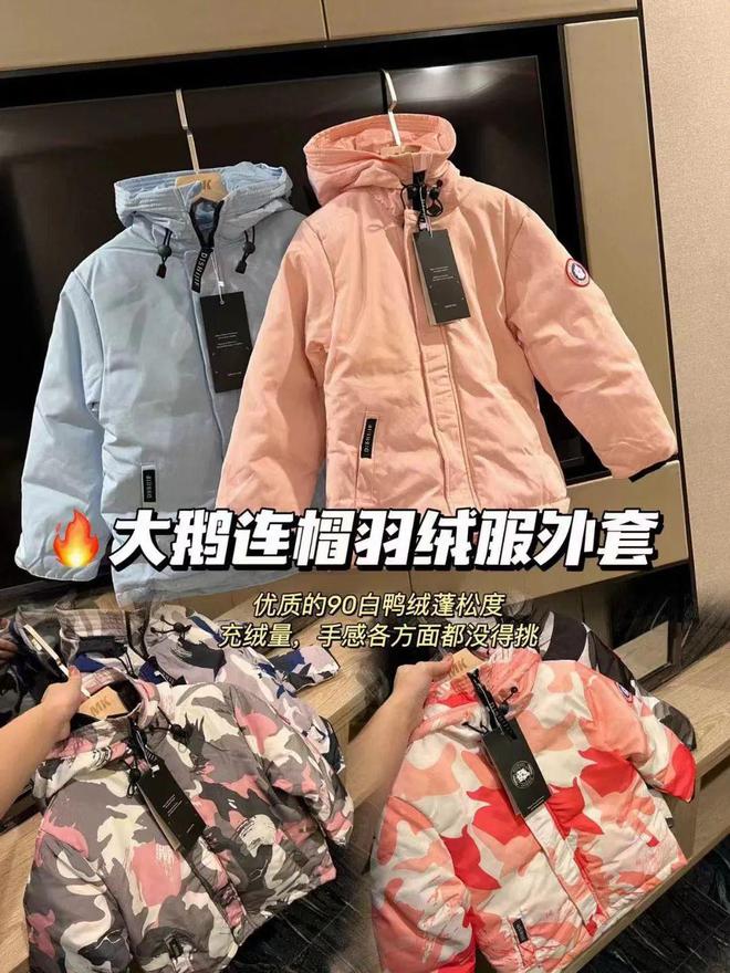 鵝的壽命_鵝壽命有多長_鵝壽命一般能活多少年