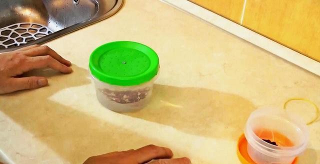 死的紅蟲還能用嗎_保存死紅蟲會凍死嗎_紅蟲怎么保存不會死