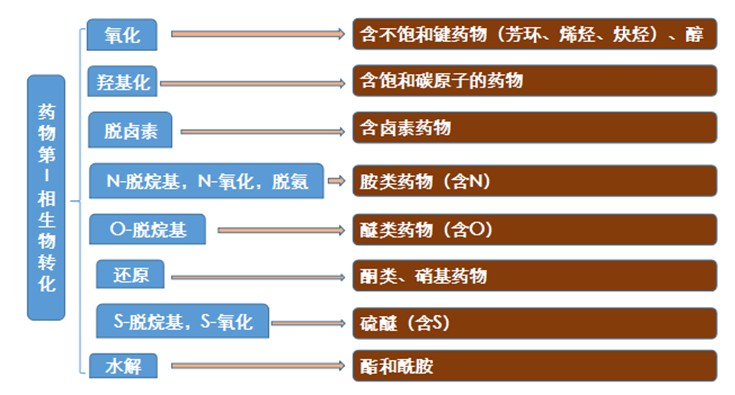 氧化胺cao-30_氧化胺cao-30的作用_氧化三甲胺