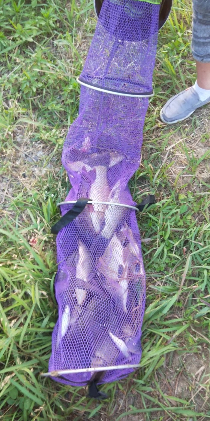 四海釣魚_釣魚四海頻道_釣魚四海傳奇