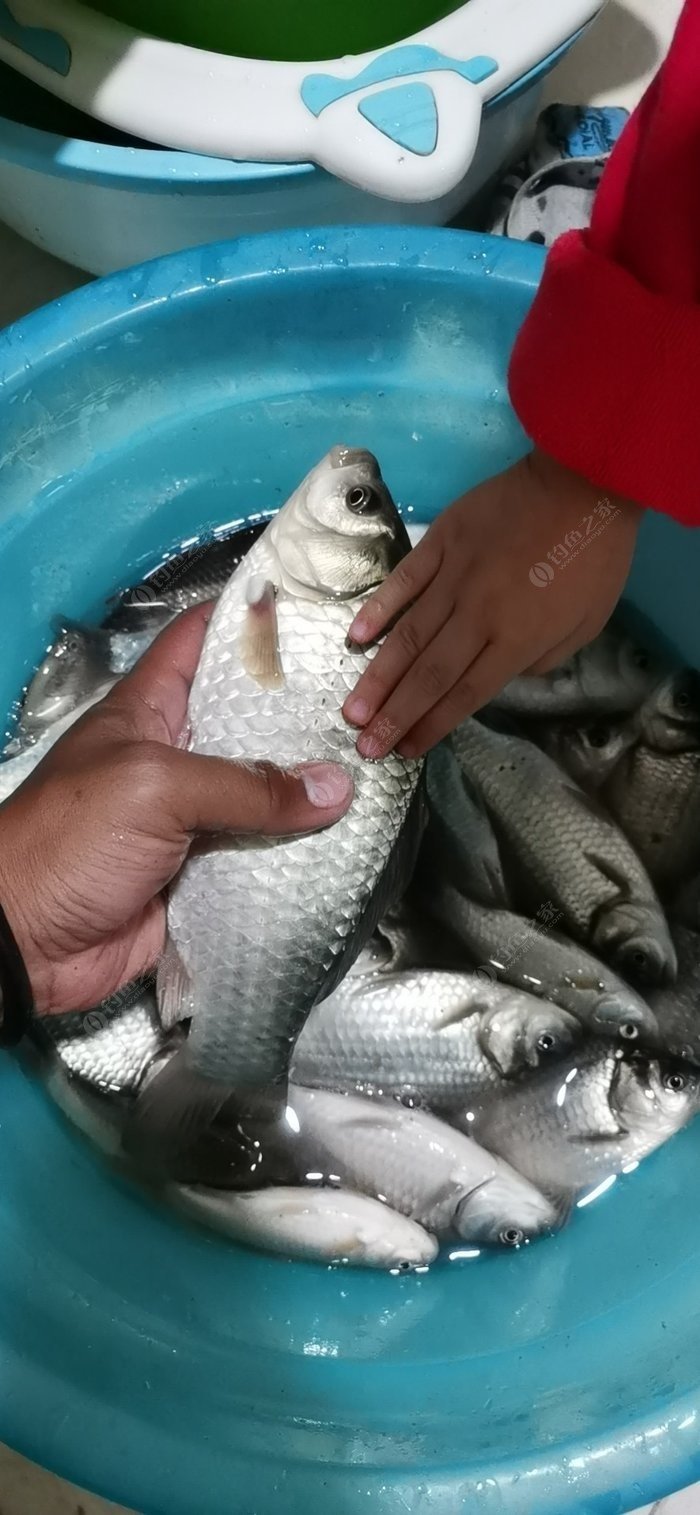 釣魚網網站_釣魚人網站_釣魚網站