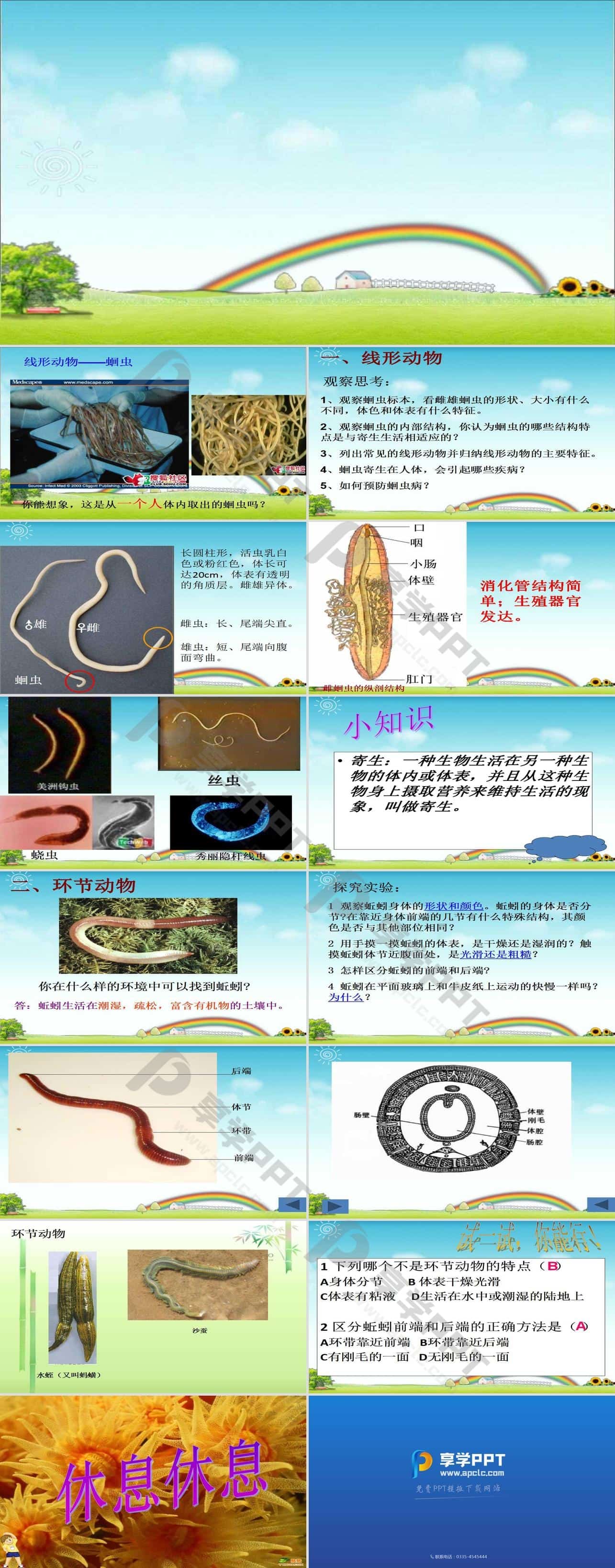 黃鱔誘捕劑真有效么_黃鱔誘捕餌料配方_誘捕黃鱔
