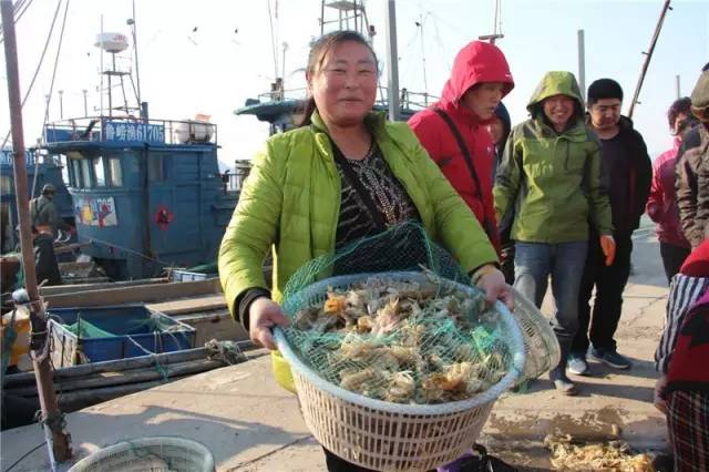直播海釣類小說_直播海釣你把核潛艇釣上來了_海釣直播