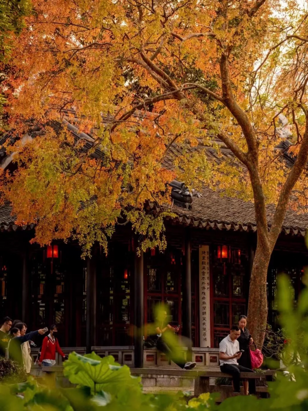 鷹潭論壇 顧城：我們一定能成為一個有生命質感的人