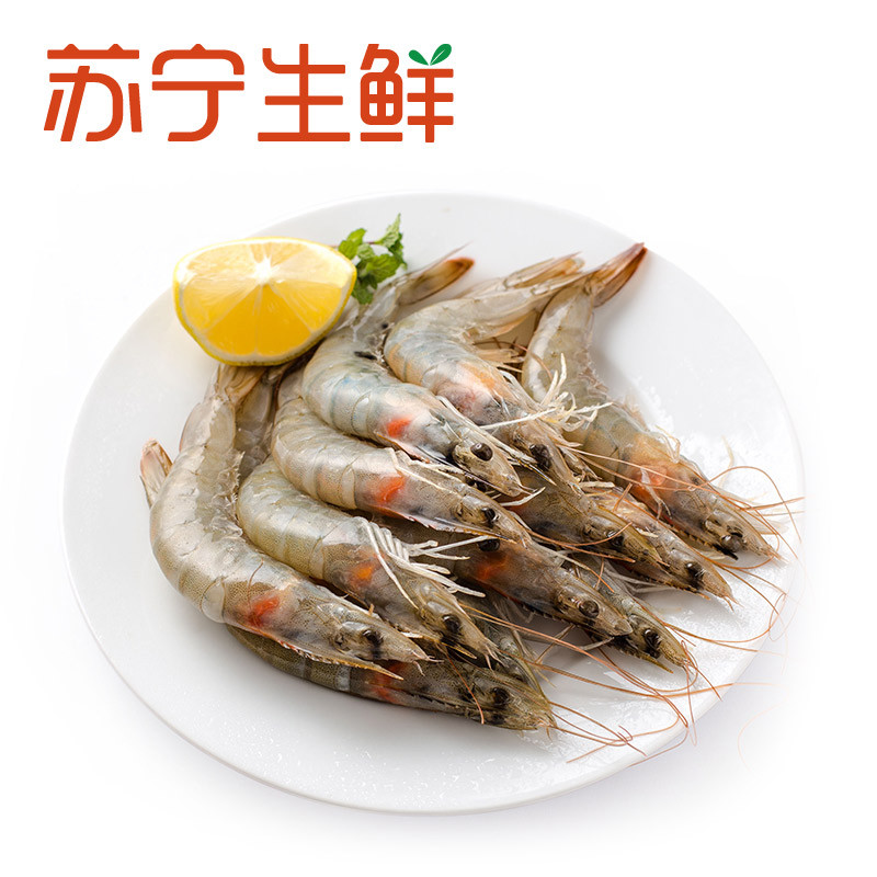 厄瓜多爾白蝦_厄瓜多爾白蝦怎么樣_厄爾瓜多白蝦怎么做好吃