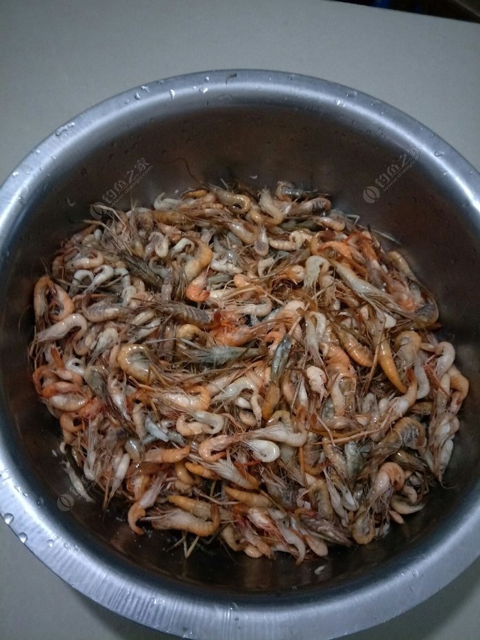 海釣餌料配方大全集_海釣魚餌的制作方法和配方_海釣魚餌