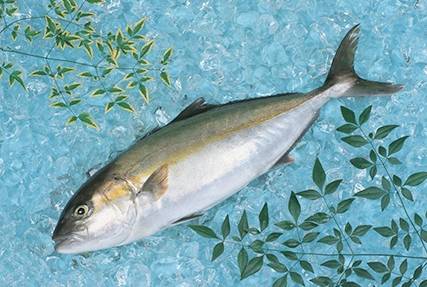 帶魚深海_深海魚帶魚是嗎_帶魚是深海魚嗎