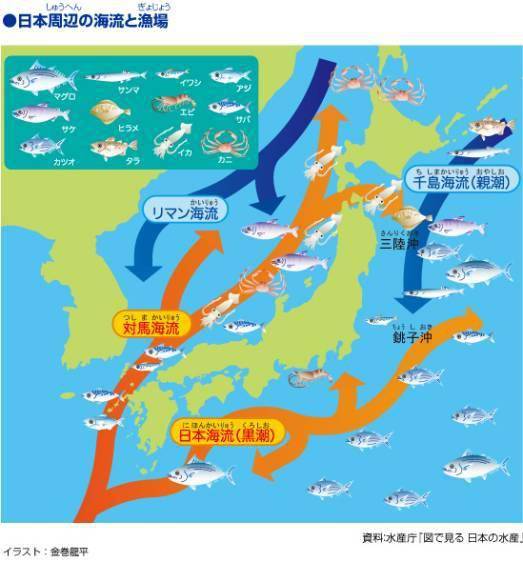 深海魚帶魚是嗎_帶魚是深海魚嗎_帶魚深海