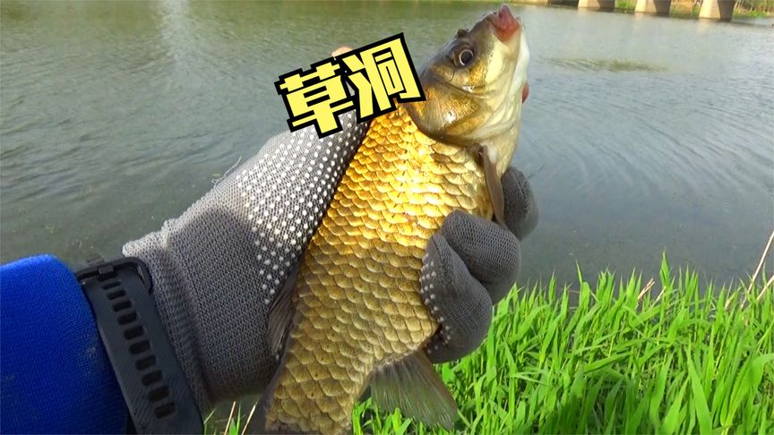 釣鯽魚技巧_南方冬季釣鯽魚技巧_寒冬釣鯽魚技巧
