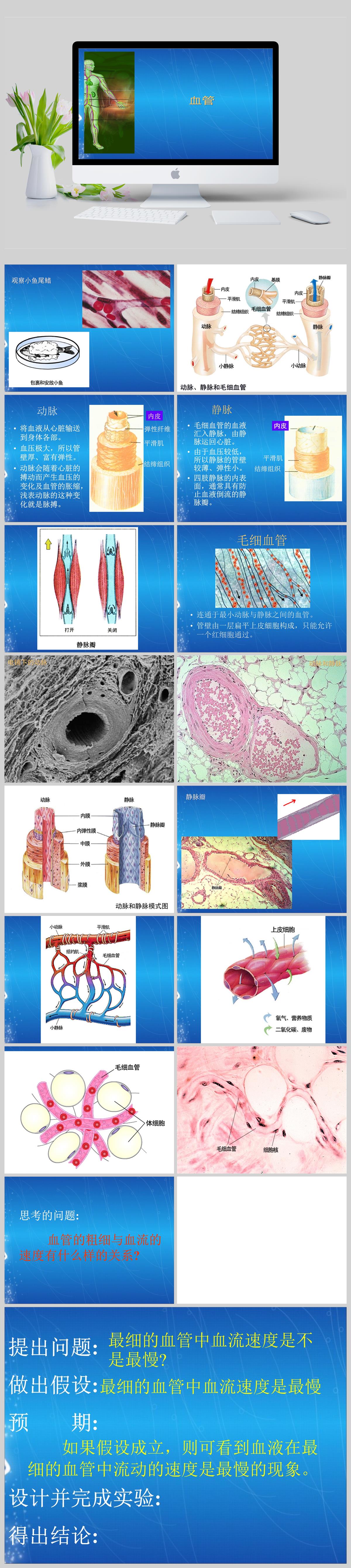 鱷魚眼淚啥意思_鱷魚眼淚比喻成什么_鱷魚眼淚