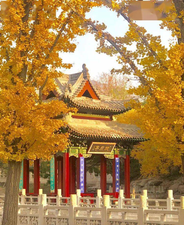 迎澤公園海底世界_迎澤公園海底世界幾點關門_迎澤公園海底世界拆了