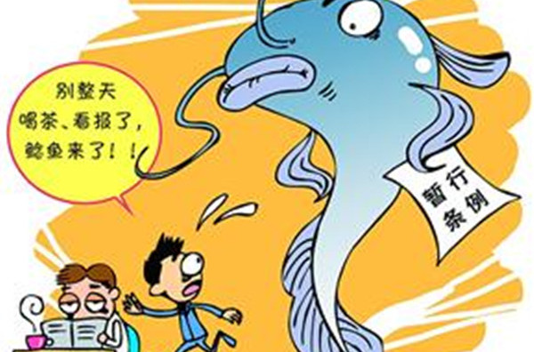 鯰魚效應吧_鲇魚效應_鯰魚效應等各種效應