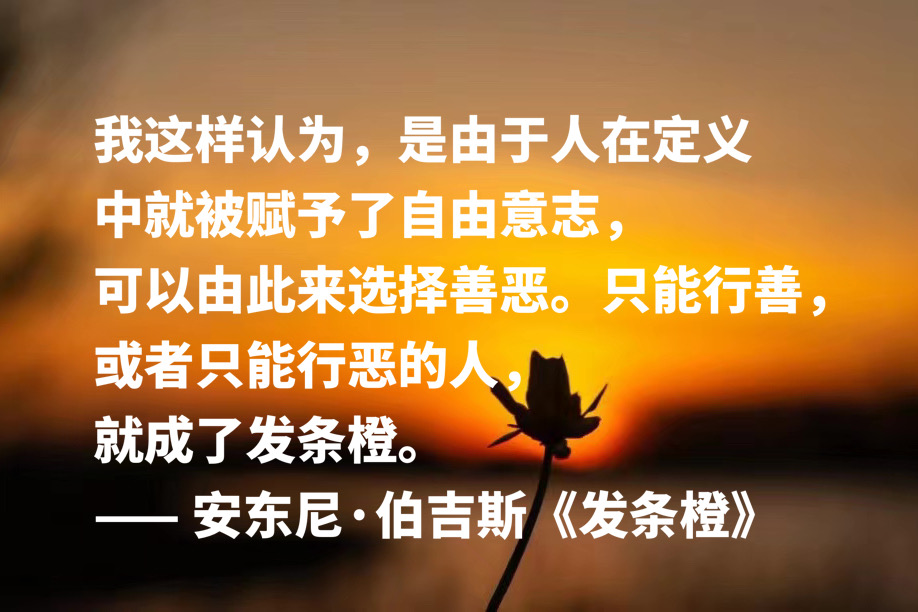 龍游淺水遭蝦戲_龍游淺水遭蝦戲_龍游淺水遭蝦戲