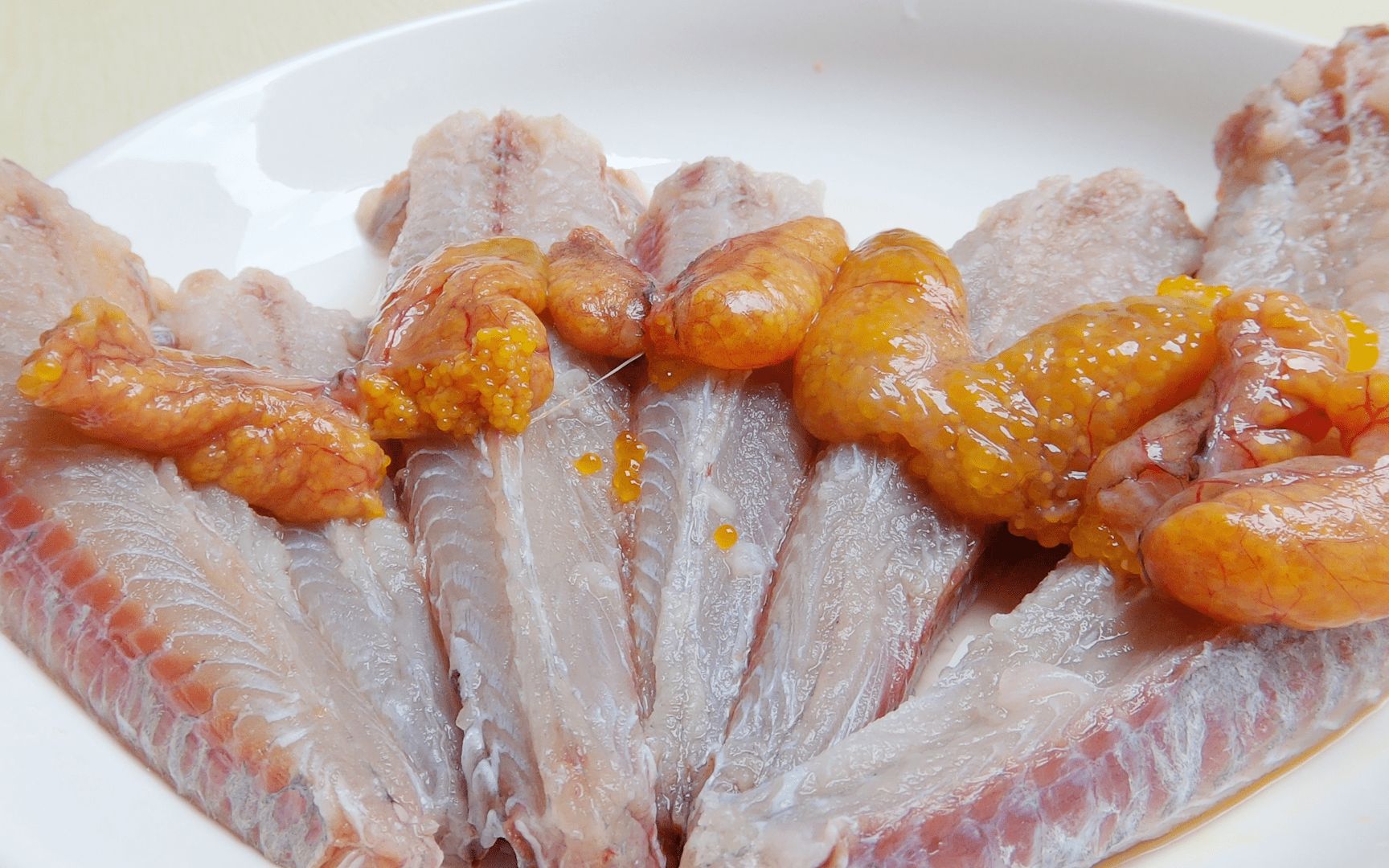 鱷魚吃清道夫_蒼鷺吃清道夫_清道夫吃什么