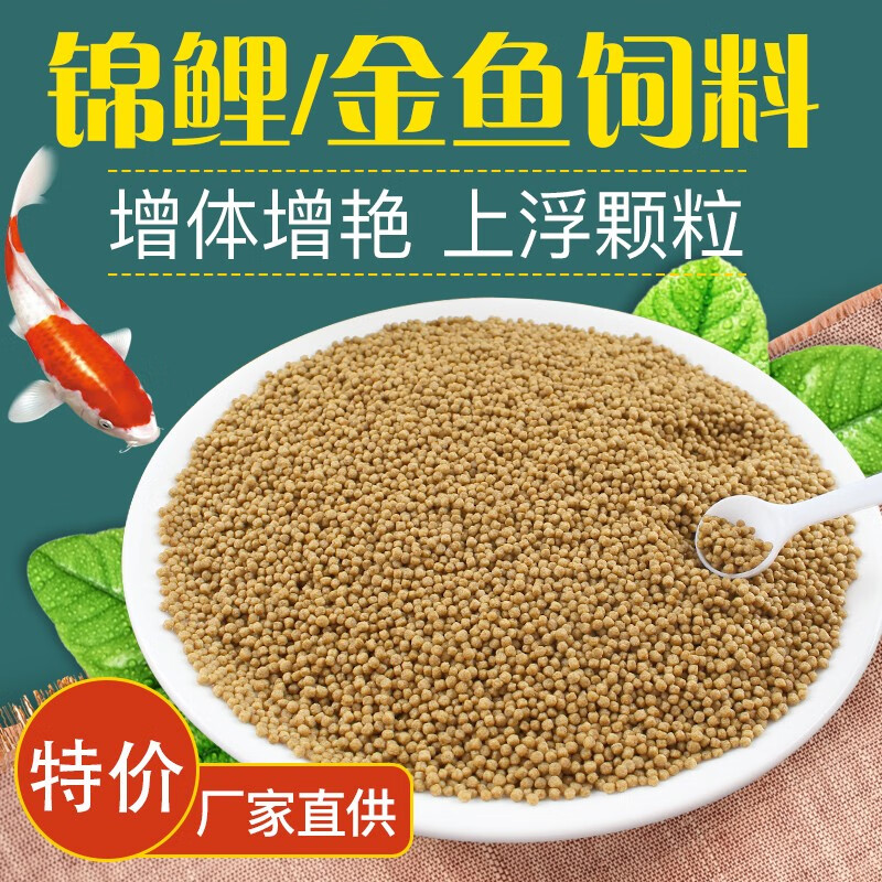 錦鯉魚苗批發_錦鯉魚苗批發價多少錢一斤_批發錦鯉魚苗價格表