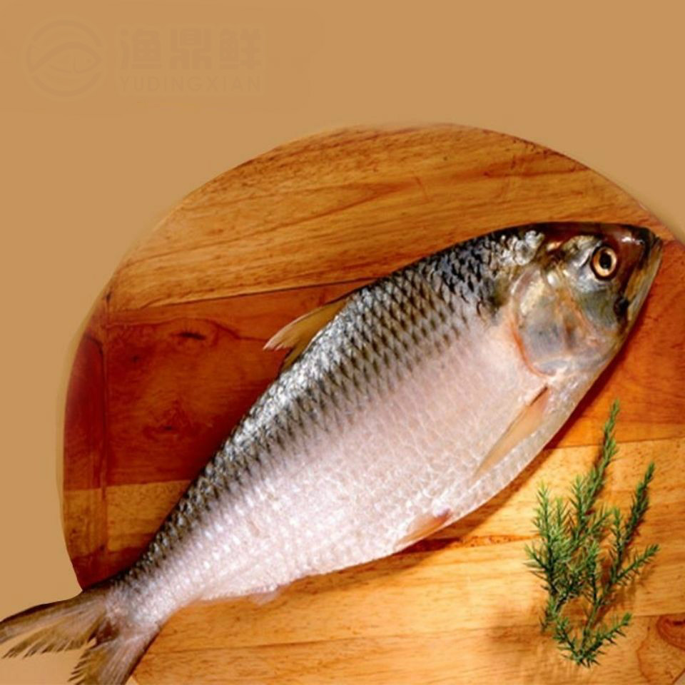 大馬魚圖片大全_大馬哈魚_大馬魚做法