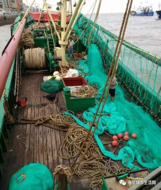 大馬魚做法_大馬魚怎做好吃_大馬哈魚