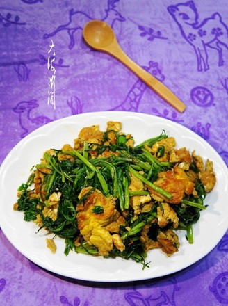 青蛙下蛋 把我的臺灣美食分享給大家（通行證奉上）