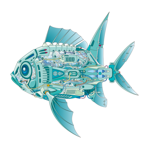 八爪魚 男子網購小章魚花了85.95元，結果悲劇了！