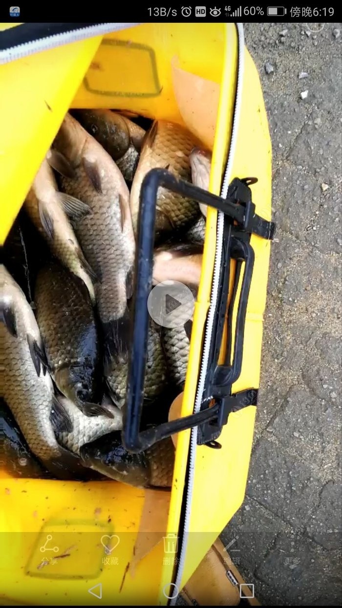 釣魚春季配什么小藥_春季釣魚_釣魚春季用什么餌料