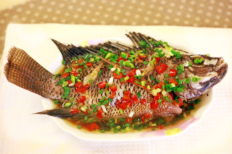 羅非魚是海魚還是河魚_羅非魚和海魚的區別_羅非魚河魚還是海魚