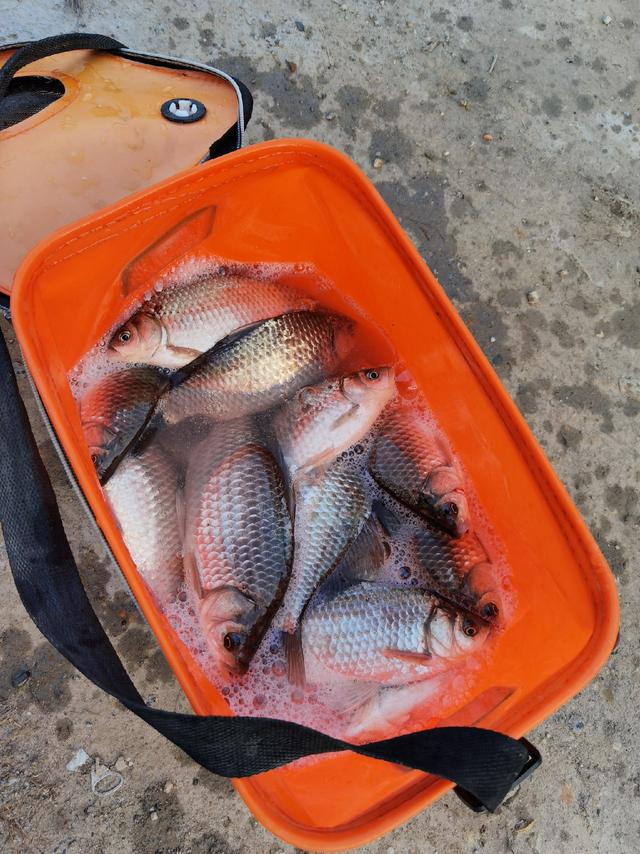 釣魚春季用什么餌料_釣魚春季怎么釣_春季釣魚