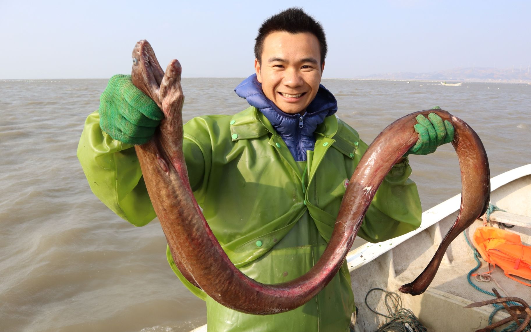 巨型黃鱔為什么不能吃_巨型黃鱔500斤_巨型黃鱔