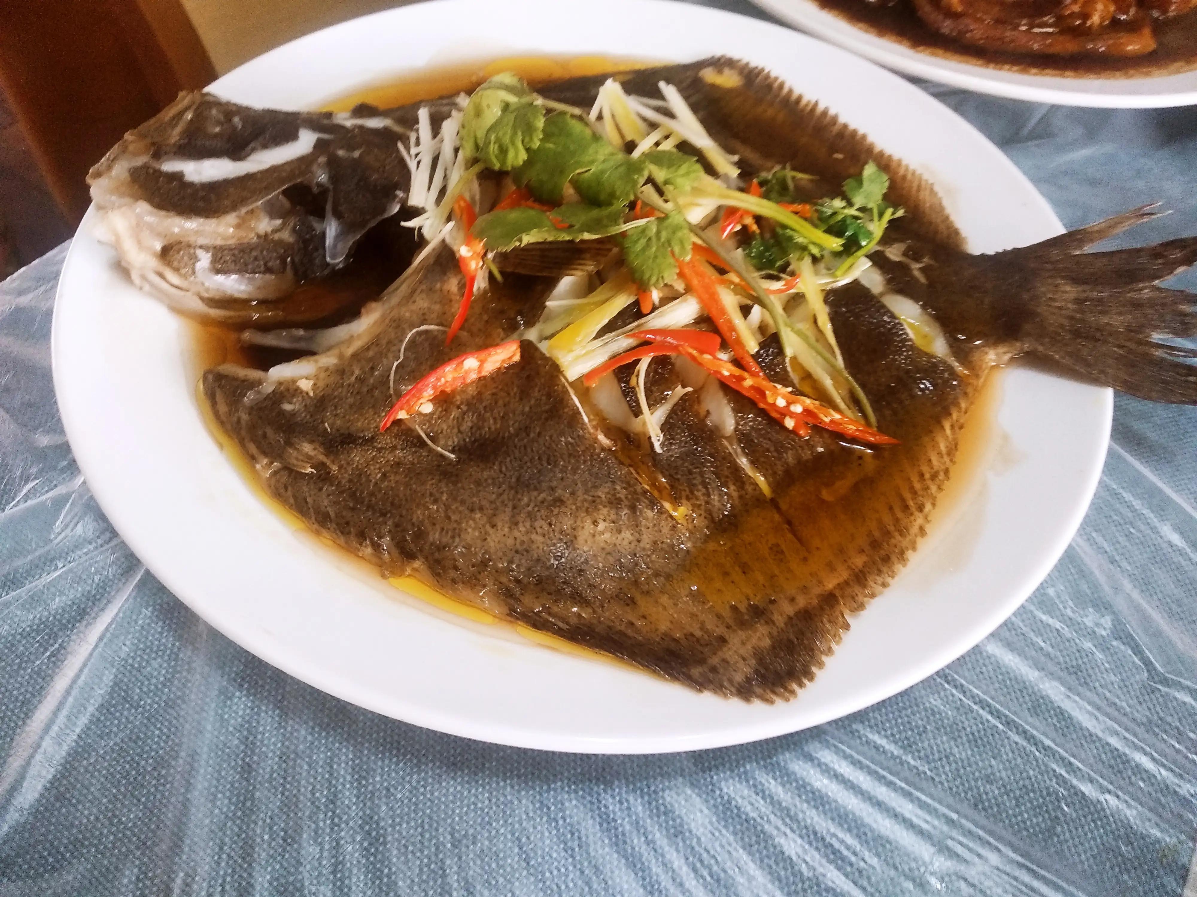 血鸚鵡魚_血鸚鵡魚壽命有多長_血鸚鵡魚適合多少°C水溫