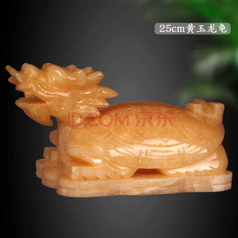 養金錢龜_養金錢龜需要辦什么證_養金錢龜放什么地方最旺財